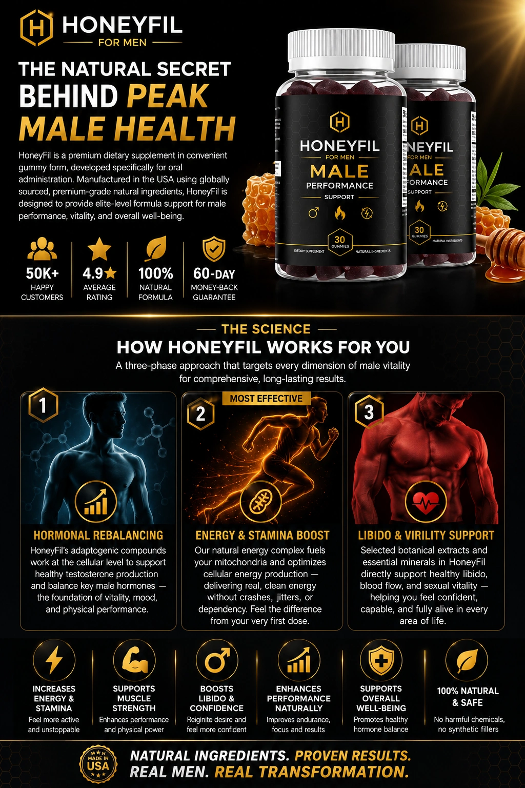 Illustration representing HoneyFil's core benefit areas for men's health